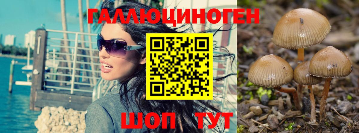 Галлюциногенные грибы MAGIC MUSHROOMS Всеволожск